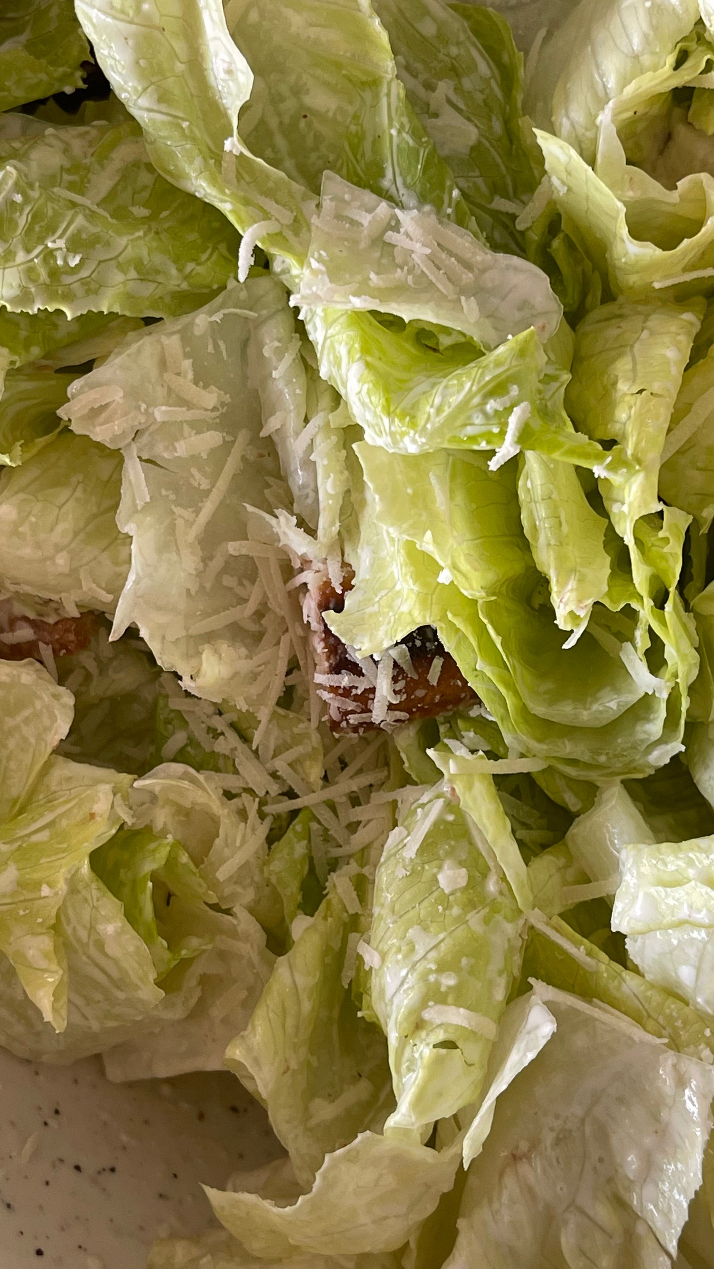 סלט קיסר קראנצ'י